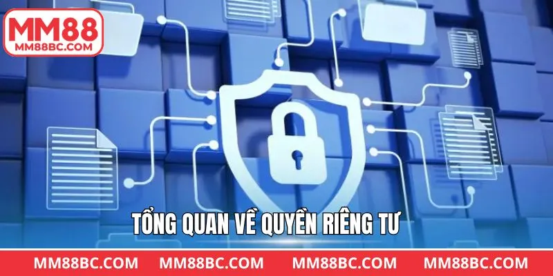 Nội dung sơ lược về chính riêng tư của thương hiệu Nội dung sơ lược về chính riêng tư của thương hiệu